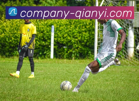 千亿体育发展历程